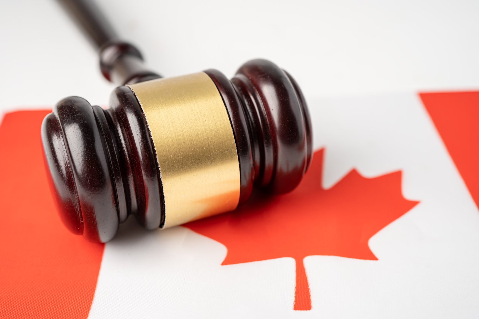 Immigration Law